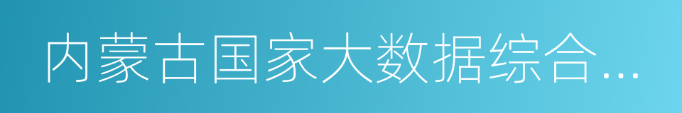 内蒙古国家大数据综合试验区建设实施方案的同义词