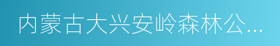 内蒙古大兴安岭森林公安局的同义词