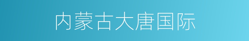 内蒙古大唐国际的同义词