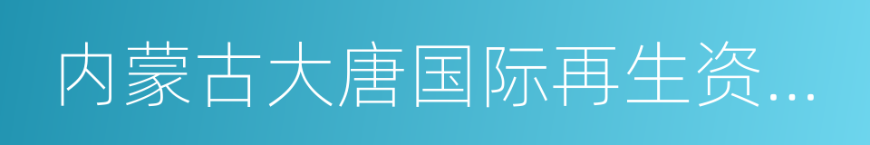 内蒙古大唐国际再生资源开发有限公司的同义词