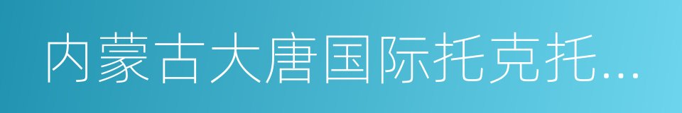 内蒙古大唐国际托克托发电有限责任公司的同义词