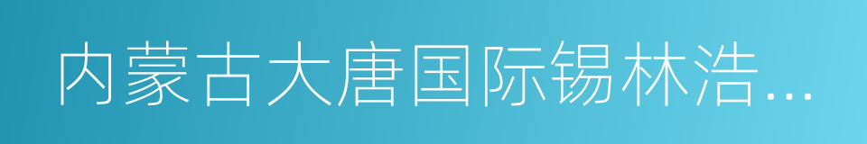 内蒙古大唐国际锡林浩特矿业有限公司的同义词