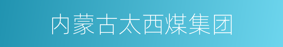 内蒙古太西煤集团的同义词