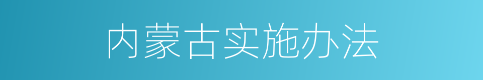 内蒙古实施办法的同义词