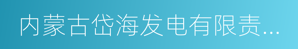 内蒙古岱海发电有限责任公司的同义词