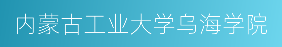 内蒙古工业大学乌海学院的同义词