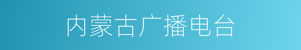 内蒙古广播电台的同义词