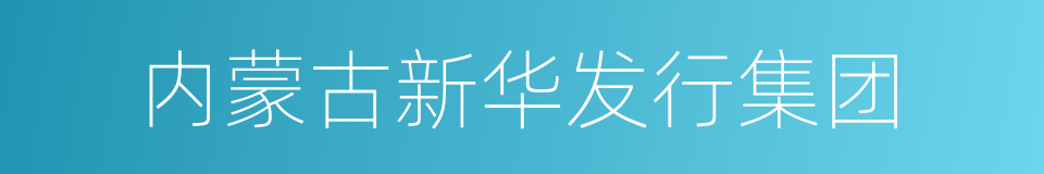 内蒙古新华发行集团的同义词