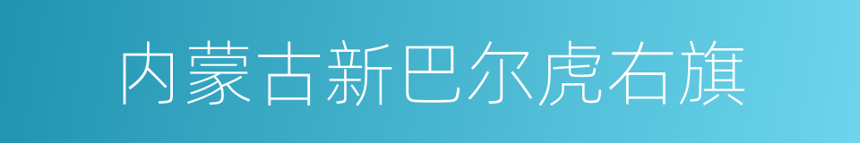 内蒙古新巴尔虎右旗的同义词