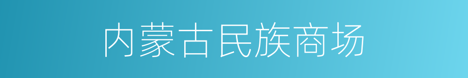 内蒙古民族商场的同义词