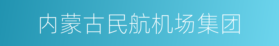 内蒙古民航机场集团的同义词