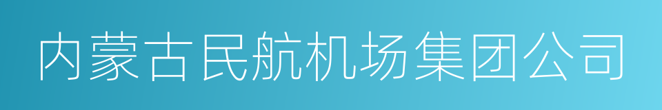 内蒙古民航机场集团公司的同义词