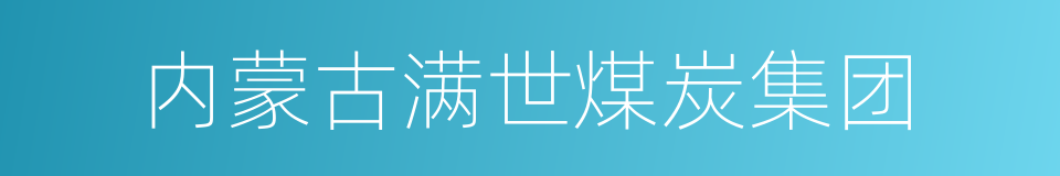 内蒙古满世煤炭集团的同义词