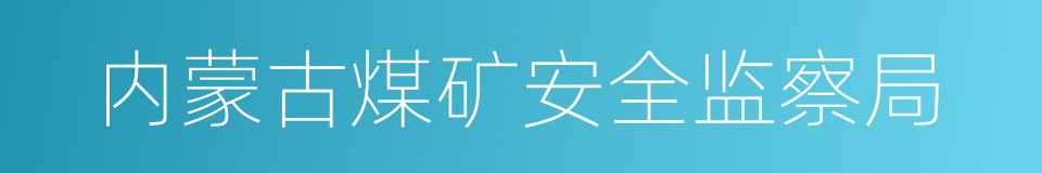 内蒙古煤矿安全监察局的同义词