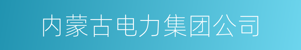 内蒙古电力集团公司的同义词