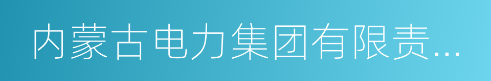 内蒙古电力集团有限责任公司的同义词