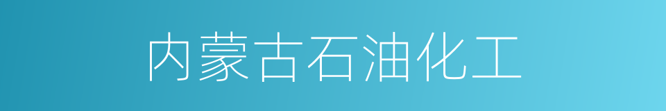 内蒙古石油化工的同义词