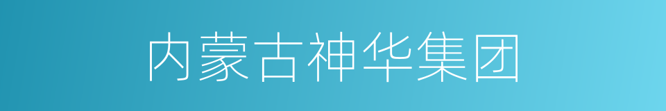 内蒙古神华集团的同义词