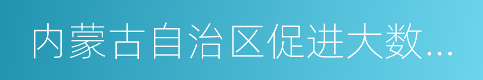 内蒙古自治区促进大数据发展应用的若干政策的同义词