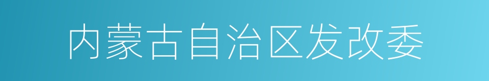 内蒙古自治区发改委的同义词