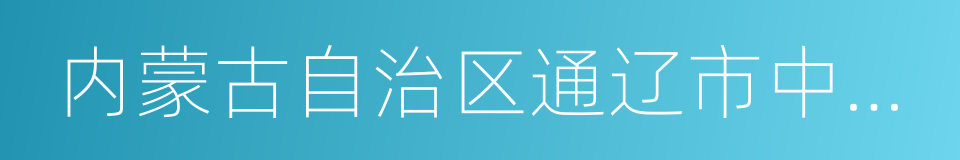 内蒙古自治区通辽市中级人民法院的同义词