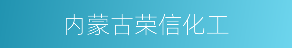 内蒙古荣信化工的同义词