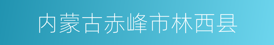 内蒙古赤峰市林西县的同义词