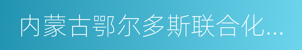 内蒙古鄂尔多斯联合化工有限公司的同义词