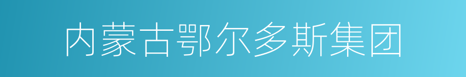 内蒙古鄂尔多斯集团的同义词