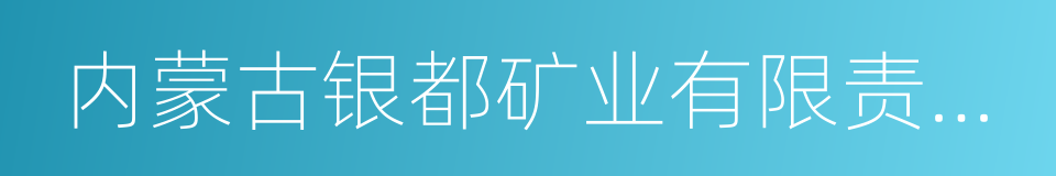 内蒙古银都矿业有限责任公司的同义词