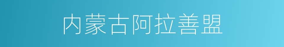 内蒙古阿拉善盟的同义词