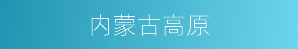 内蒙古高原的意思