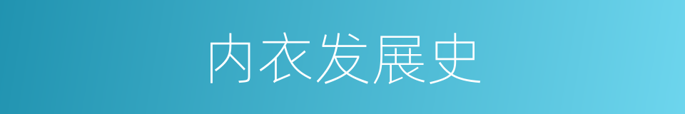 内衣发展史的同义词