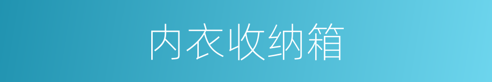 内衣收纳箱的同义词