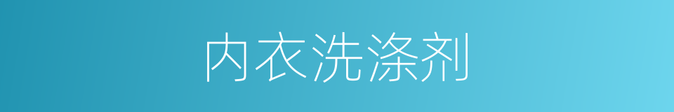 内衣洗涤剂的同义词