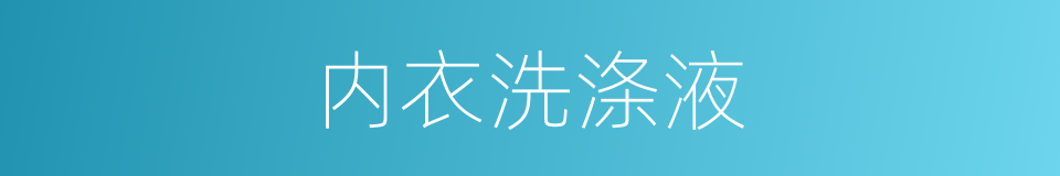 内衣洗涤液的同义词