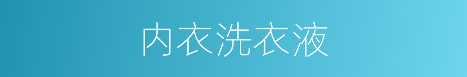 内衣洗衣液的同义词