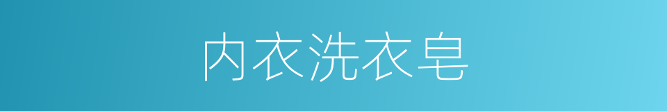 内衣洗衣皂的同义词