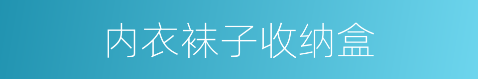 内衣袜子收纳盒的同义词