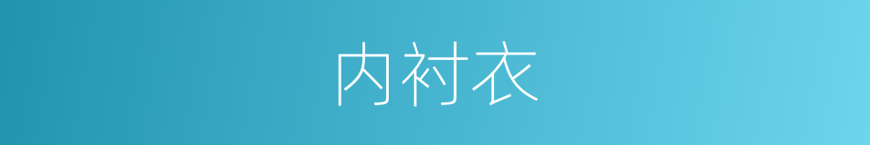 内衬衣的同义词