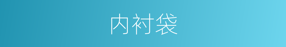内衬袋的同义词