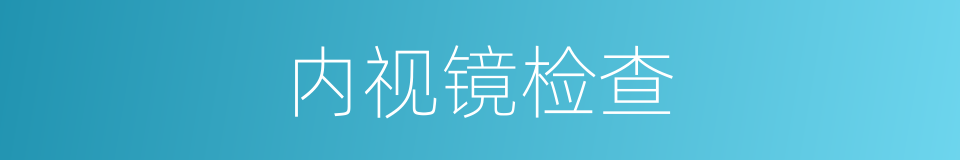 内视镜检查的同义词