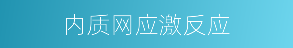 内质网应激反应的同义词