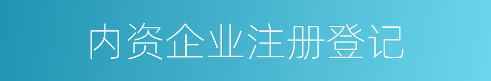 内资企业注册登记的同义词