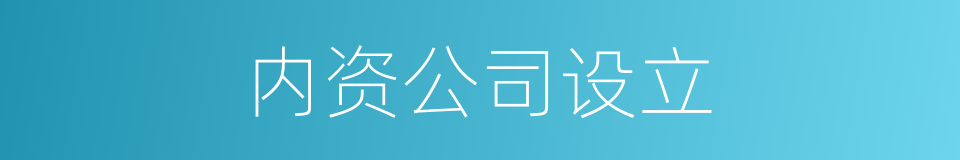 内资公司设立的同义词