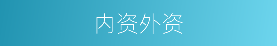 内资外资的同义词