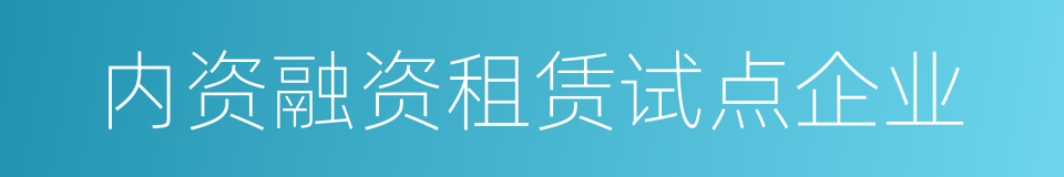 内资融资租赁试点企业的同义词