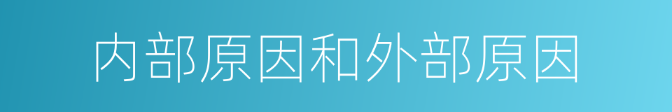 内部原因和外部原因的同义词