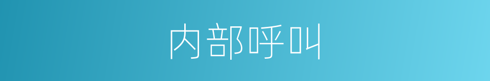 内部呼叫的同义词
