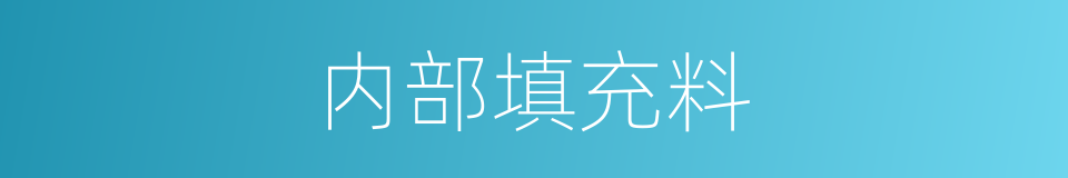 内部填充料的同义词